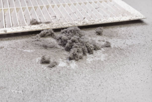 Best Commercial HVAC Duct Cleaning  in Chicago Heights, IL