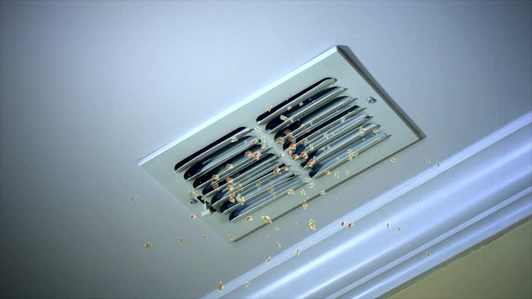 Best Emergency Air Duct Cleaning  in Chicago Heights, IL