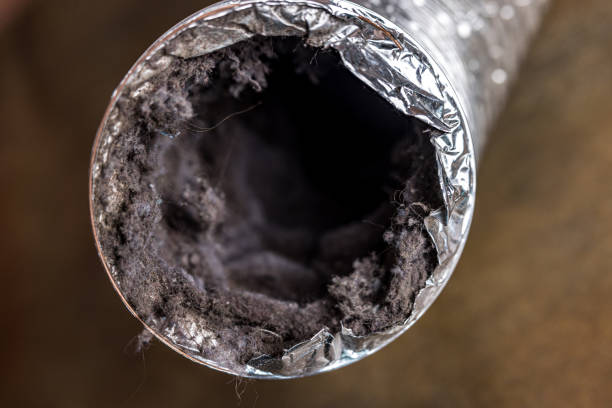 Best Air Duct Cleaning Company Near Me  in Chicago Heights, IL